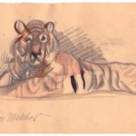 Busso Malchow - Tiger (01)